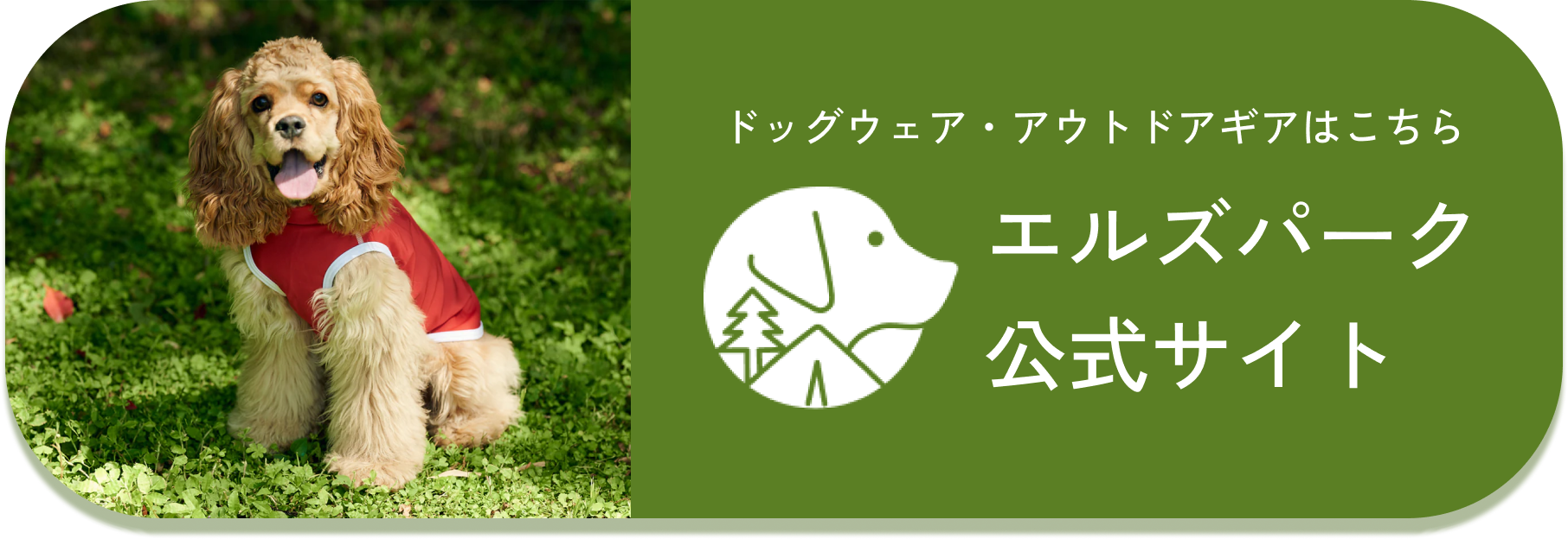 ”代替テキスト”