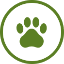 愛犬同伴のお客様へのお願い