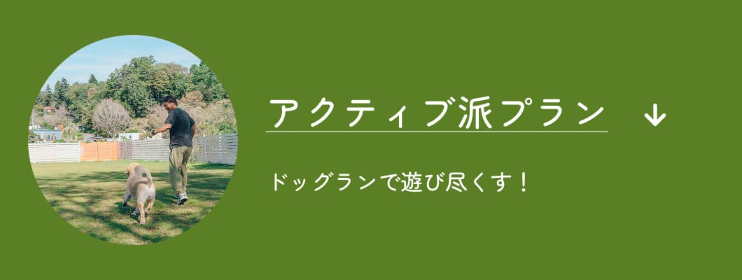 アクティブ派プラン