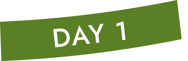 DAY 1