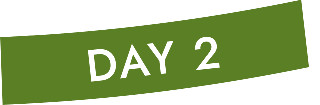 DAY 2