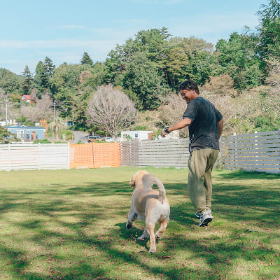 早めの到着！大型ドッグランへ愛犬を解放！