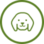 愛犬同伴のルール