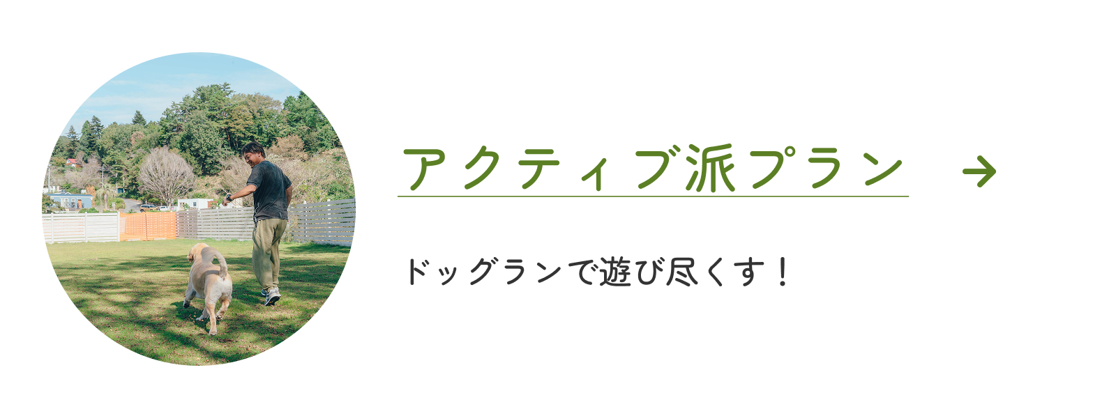アクティブ派プラン