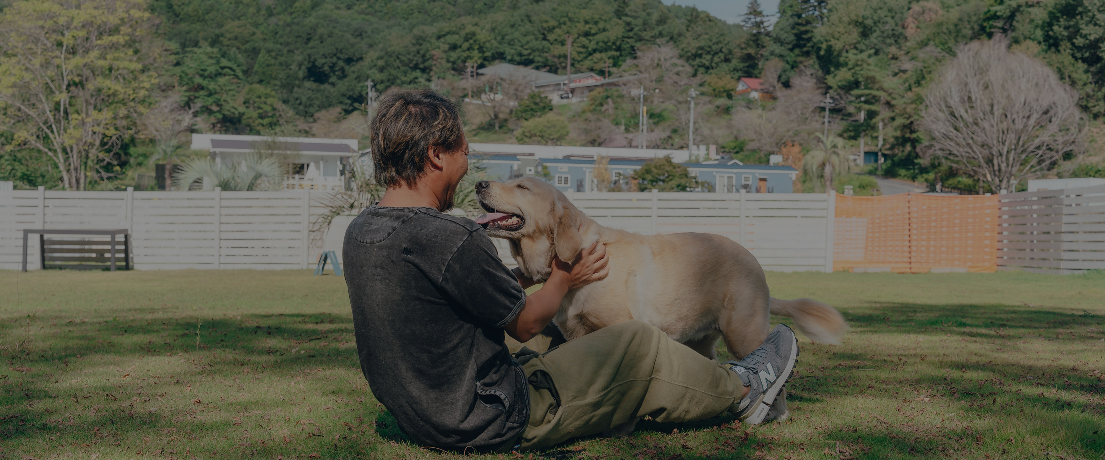 Play&Dog